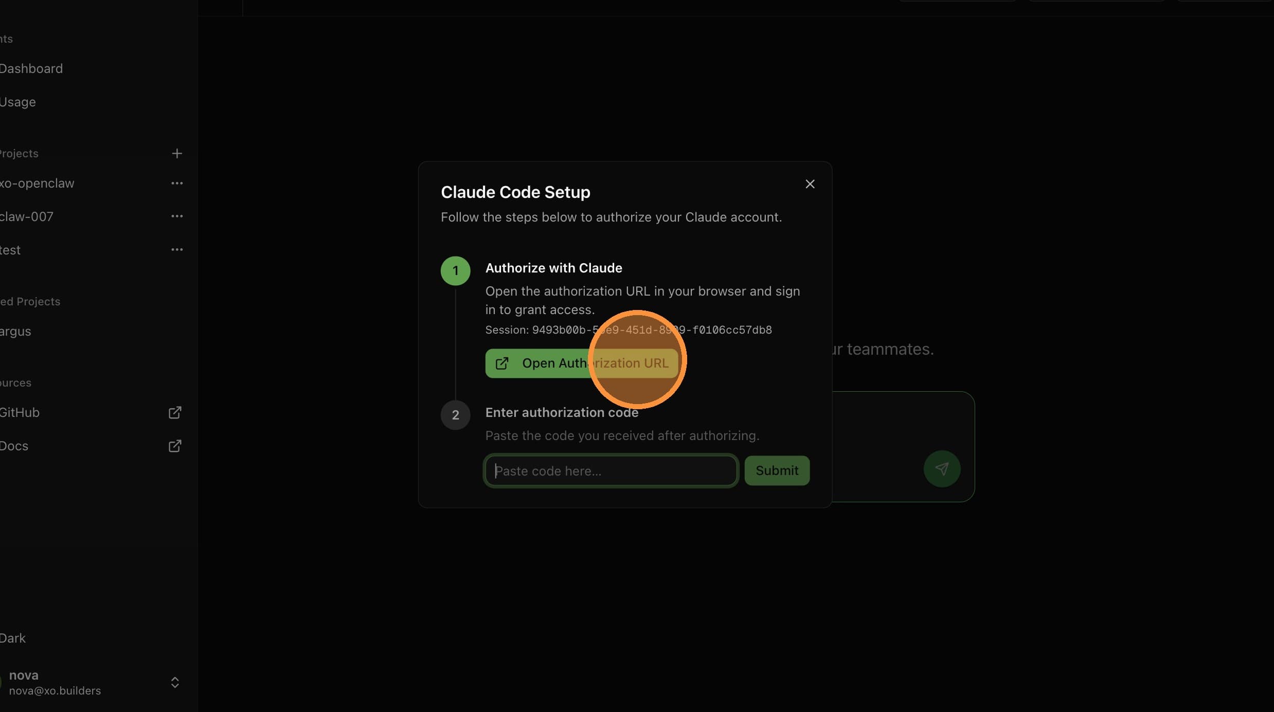 Click Open Authorization URL