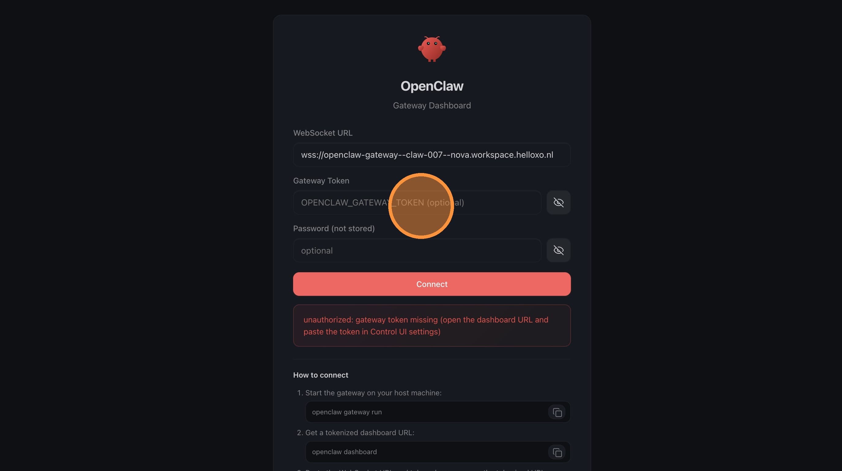 Enter Gateway Token